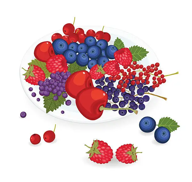 Vector illustration of Berries of Summer