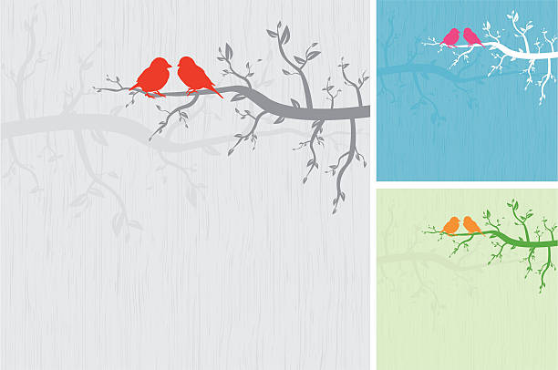 투 버즈 (two birds) 지점 - frame bird tree spring stock illustrations