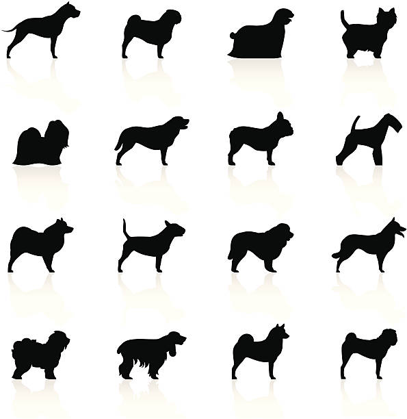 schwarze symbole-hunde - dog malamute sled dog bulldog stock-grafiken, -clipart, -cartoons und -symbole