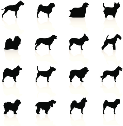 Illustration containing different dog species.