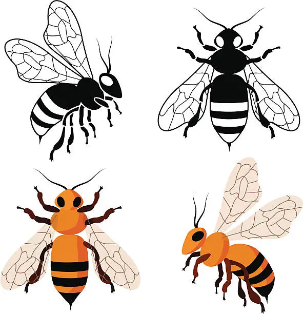 Vector illustration of honey bees