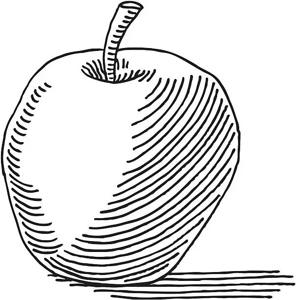 Vector illustration of Apple Drawing