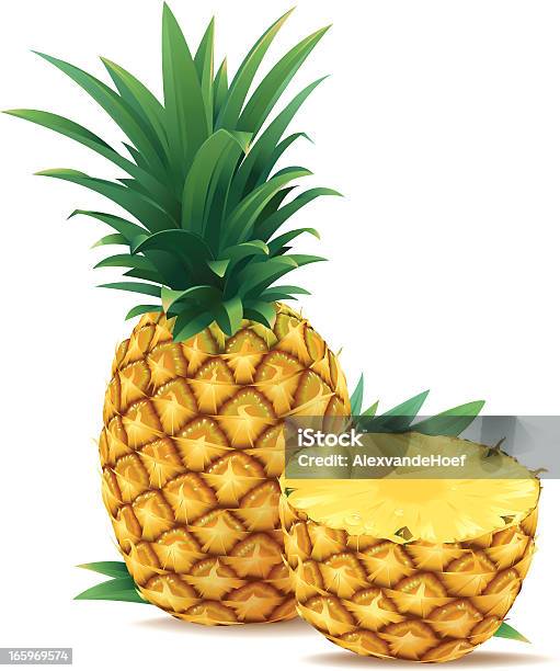 One And A Half Pineapple Stock Illustration - Download Image Now - Pineapple, Vector, Illustration