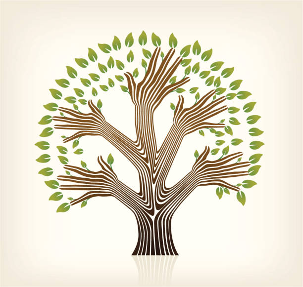 2 200 Hands Tree Trunk Stock Illustrations Royalty Free Vector 2-200-hands-tree-trunk-stock-illustrations-royalty-free-vector