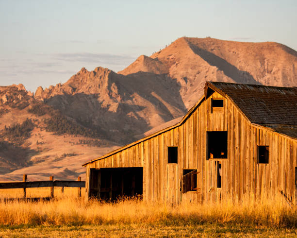 istock Old Barn in front of Bear Butte at Sunrise 1659697155
