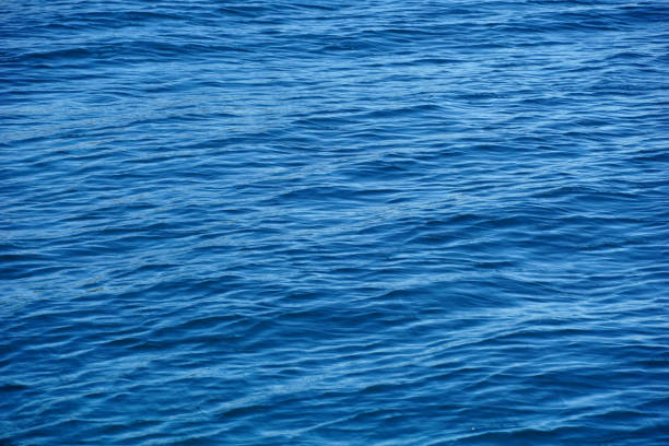 istock Sea waves background in intensive blue color abstract 1659697713