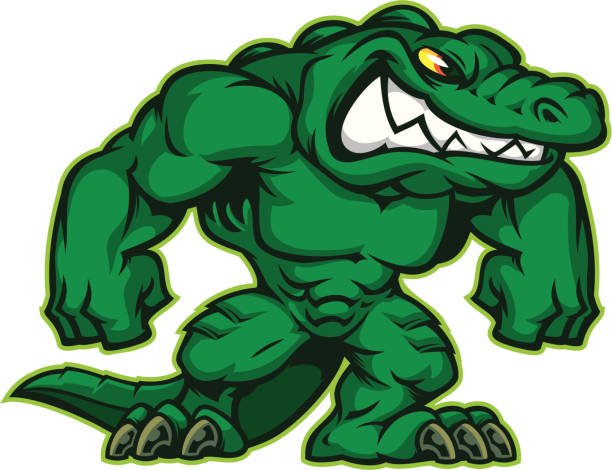 power gator-maskottchen - alligator mascot flexing muscles body building stock-grafiken, -clipart, -cartoons und -symbole