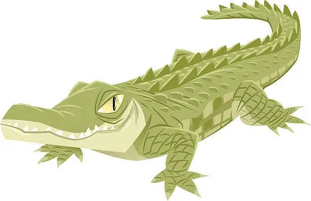 Vector illustration of Crocodile