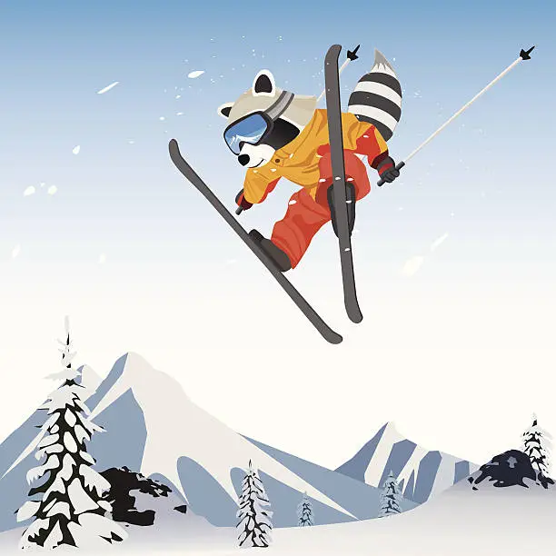 Vector illustration of Skiing Raccoon character cartoon