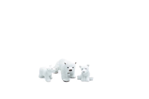 istock Three polar bear toys with white background 1659706172