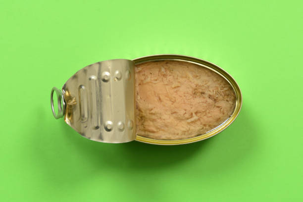 istock can of tuna on green background 1659719529