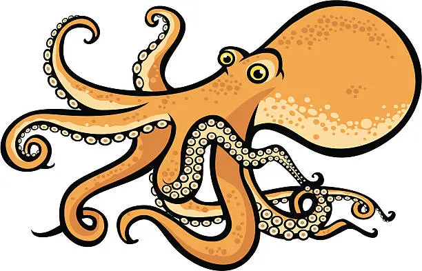 Vector illustration of Sea creatures, octopus