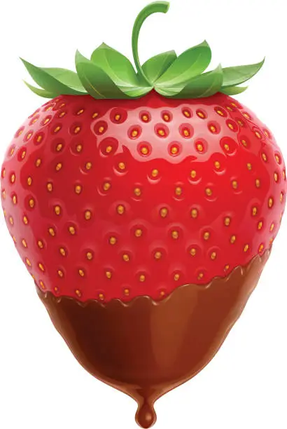 Vector illustration of Strawberry in chocolate