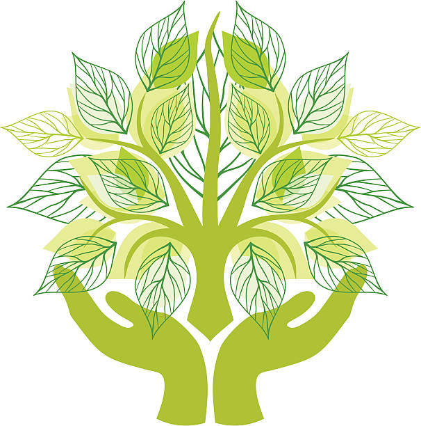 zapisywanie natura - development tree human hand bonsai tree stock illustrations