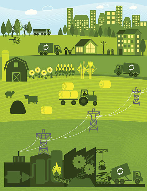 Biomass Biomass Energy crop plant illustrations stock illustrations