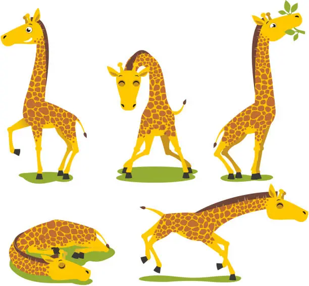 Vector illustration of Giraffe standing eating sleeping running animal theme set
