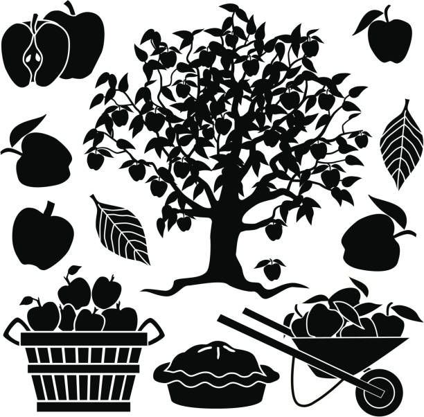 ilustraciones, imágenes clip art, dibujos animados e iconos de stock de árbol de manzana y manzanas - agriculture autumn apple greengrocers shop