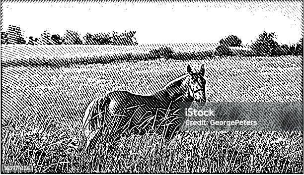 Pferd Im Feld Stock Vektor Art und mehr Bilder von Agrarbetrieb - Agrarbetrieb, Einzelnes Tier, Gras