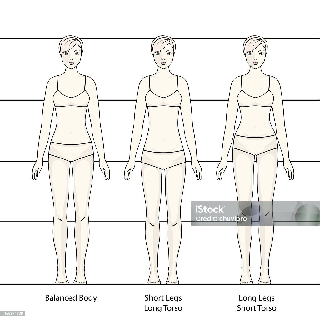 Physical Body Examples Human Body Stock Illustration - Download Image Now - Long, The Human ...