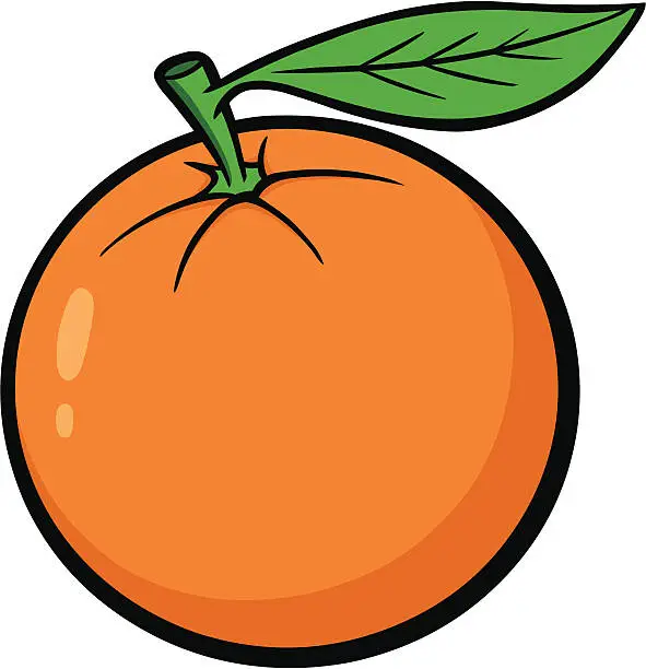 Vector illustration of Florida Orange