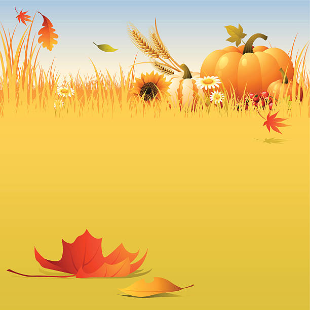 ilustrações de stock, clip art, desenhos animados e ícones de harvest -field - thanksgiving autumn pumpkin backgrounds