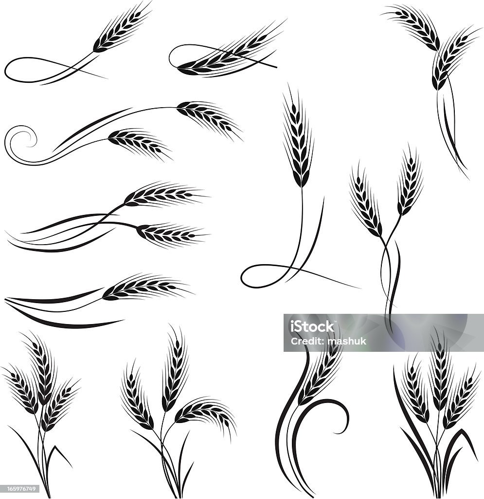 Wheat ornament file_thumbview_approve.php?id=23171487 Wheat stock vector