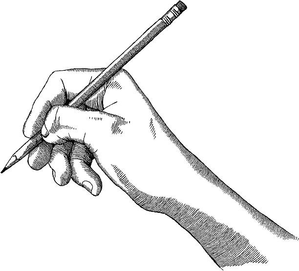 Artist's Hand A hand holding a pencil in a detailed ink drawing - vector illustration hand drawings stock illustrations