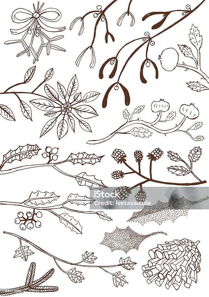 Christmas design elements Vector file of hand drawn xmas design elements Mistletoe stock vector