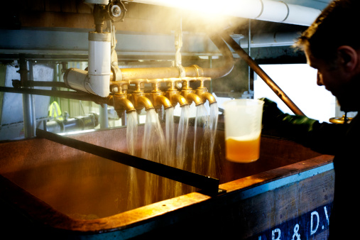 An employee testing a sample of the beer from the underback and dissolving vessel, one of the steps involved in the production of beer in a traditional Dorset brewery