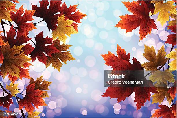 Autumn Leaves Stock Illustration - Download Image Now - Autumn, Backgrounds, Beech Tree
