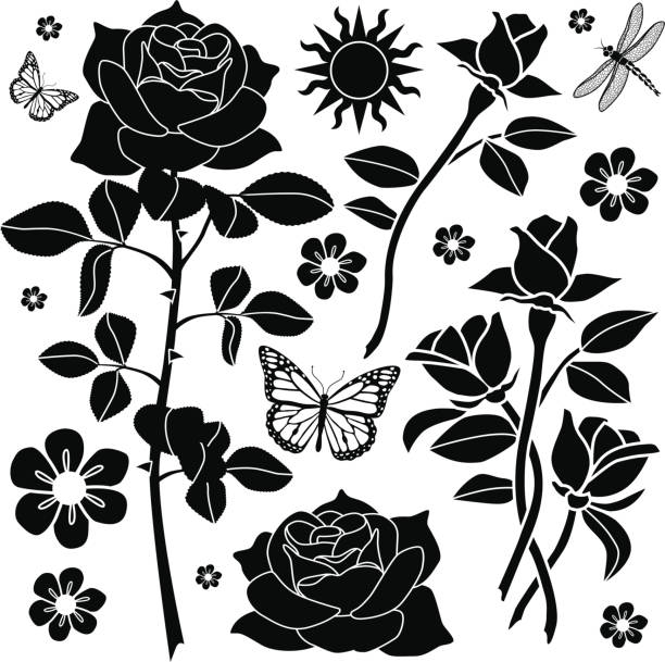 로즈 가든 디자인 요소 - rose flower bed silhouette flower stock illustrations