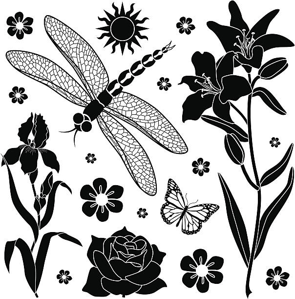 여름 가든 디자인 - rose flower bed silhouette flower stock illustrations