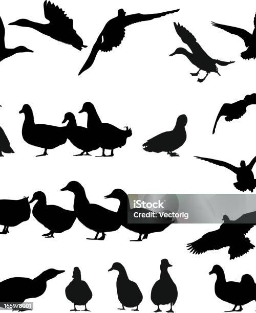 Goose Silhouette Stock Illustration - Download Image Now - Duck - Bird, Goose - Bird, Vector