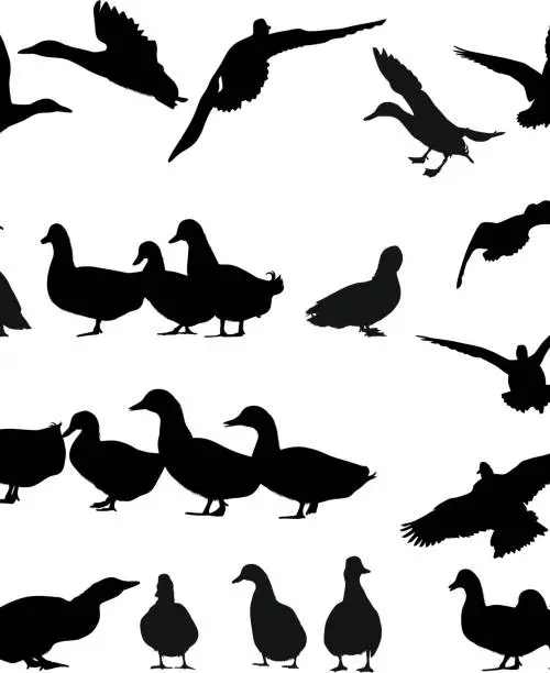 Vector illustration of goose silhouette