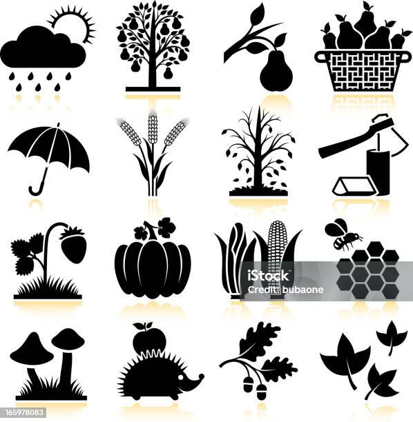 Fall Season Black White Vector Icon Set Stock Illustration - Download Image Now - Apple - Fruit, Black And White, Group Of Objects