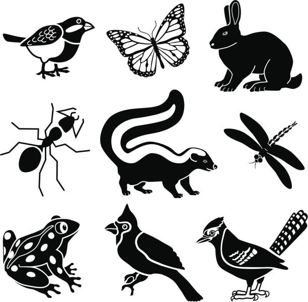 small woodland animals Vector icons of small woodland animals. Chickadee, monarch butterfly, rabbit, ant, skunk, dragonfly, frog, cardinal, blue jay. cartoon of a frog black and white stock illustrations