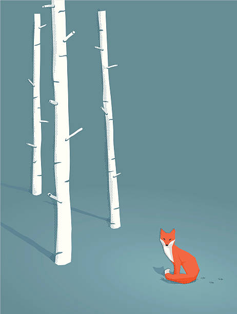 bildbanksillustrationer, clip art samt tecknat material och ikoner med red fox in a forest - red fox snow