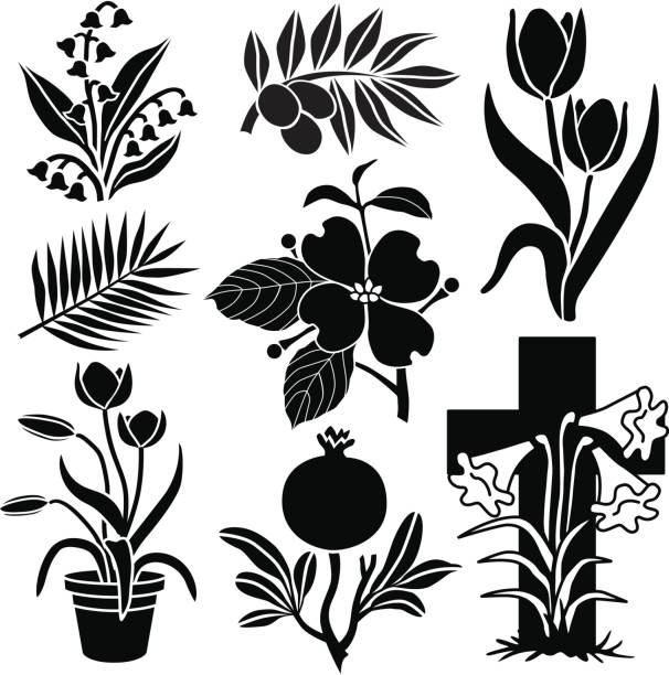 Easter plants and flowers Vector illustrations of plants and flowers with religious significance to Christians. Lily of the Valley, olive branch, Spring tulips, palm leaf, dogwood flower, pomegranate, lilies pics of a cross easter lilies stock illustrations