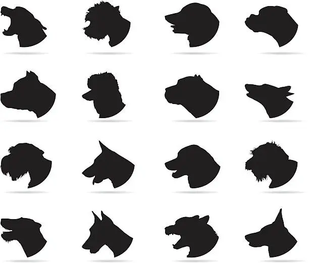 Vector illustration of Dogs