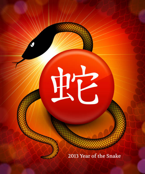 해 스네이크 - china chinese culture chinese script 2013 stock illustrations