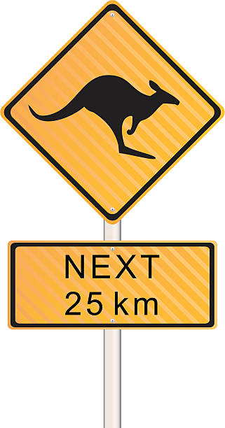 znak uwaga kangur - melbourne australia sign road stock illustrations