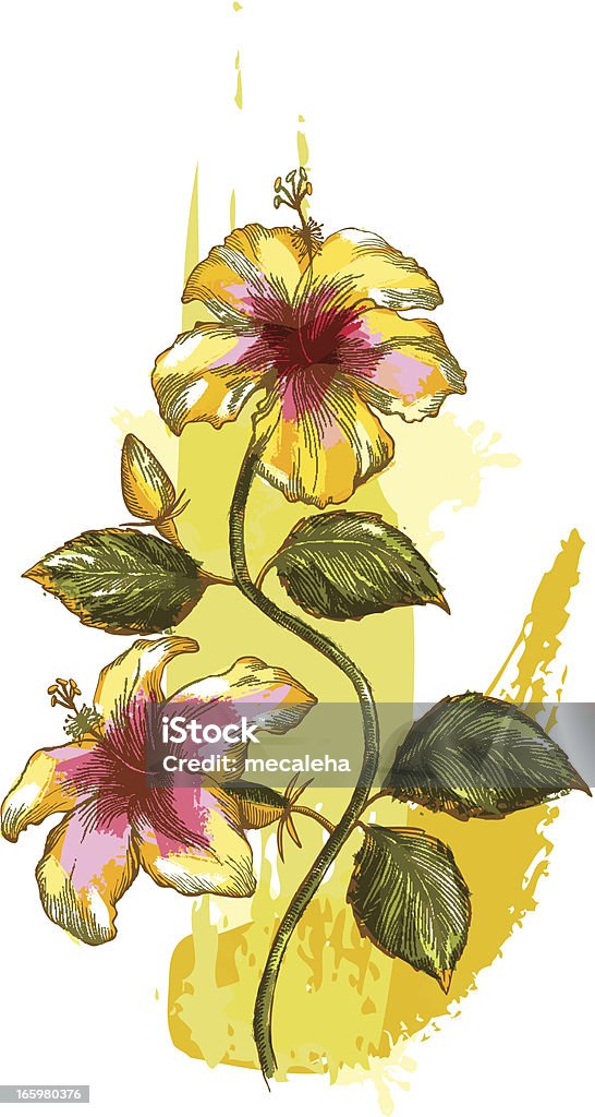 Hibiscus Flower Grunge style hibiscus - vector illustrations Art stock vector