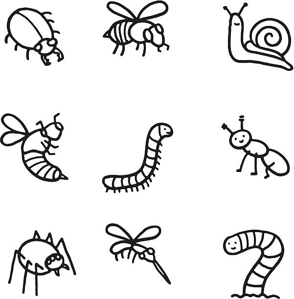 버그 낙서 아이콘 세트 - ant worm vector animal themes stock illustrations