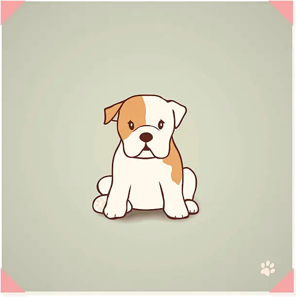 Vector illustration of English Bulldog Puppy