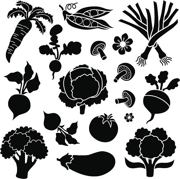 ilustraciones, imágenes clip art, dibujos animados e iconos de stock de iconos de vegetales - green pea isolated white background vegetable
