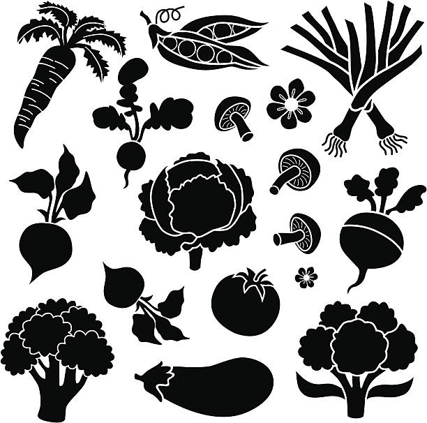 ilustrações de stock, clip art, desenhos animados e ícones de ícones de vegetais - cauliflower white backgrounds isolated