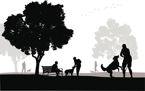 familydog - bench park park bench silhouette stock-grafiken, -clipart, -cartoons und -symbole