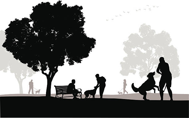 illustrations, cliparts, dessins animés et icônes de familydog - bench park park bench silhouette