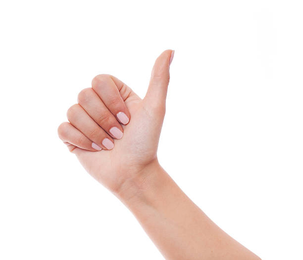 Woman hand holding gesture on white background.