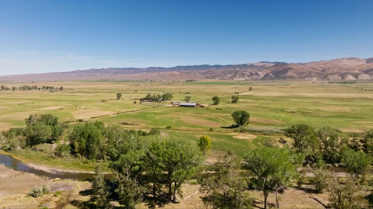 Farmland Near Coleville, CA in Fall - Aerial